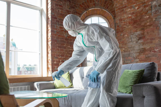 Best Mold Prevention Services  in Cooper City, FL