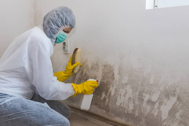 Best Air Quality Testing for Mold Spores  in Cooper City, FL