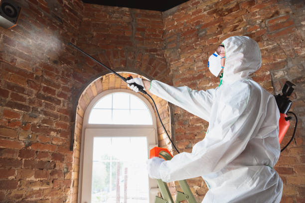 Best Asbestos and Lead Testing During Mold Inspection  in Cooper City, FL