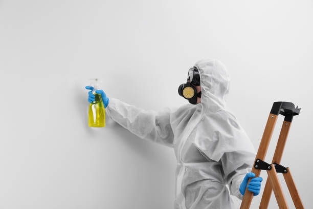 Best Residential Mold Inspection & Testing  in Cooper City, FL